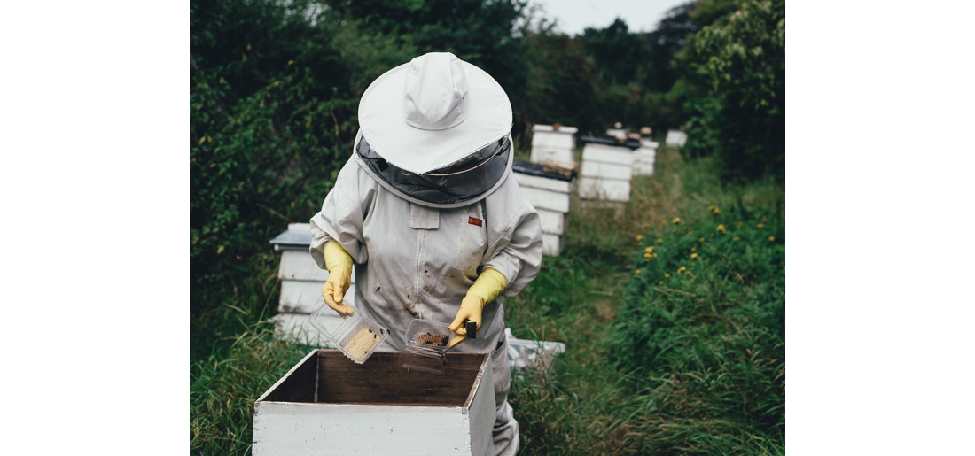 Morbi condimentum molestie Nam enim odio sodales